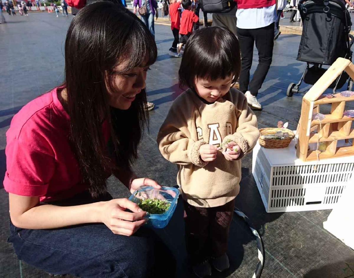 line_album_1141129仙草花節_251201_31