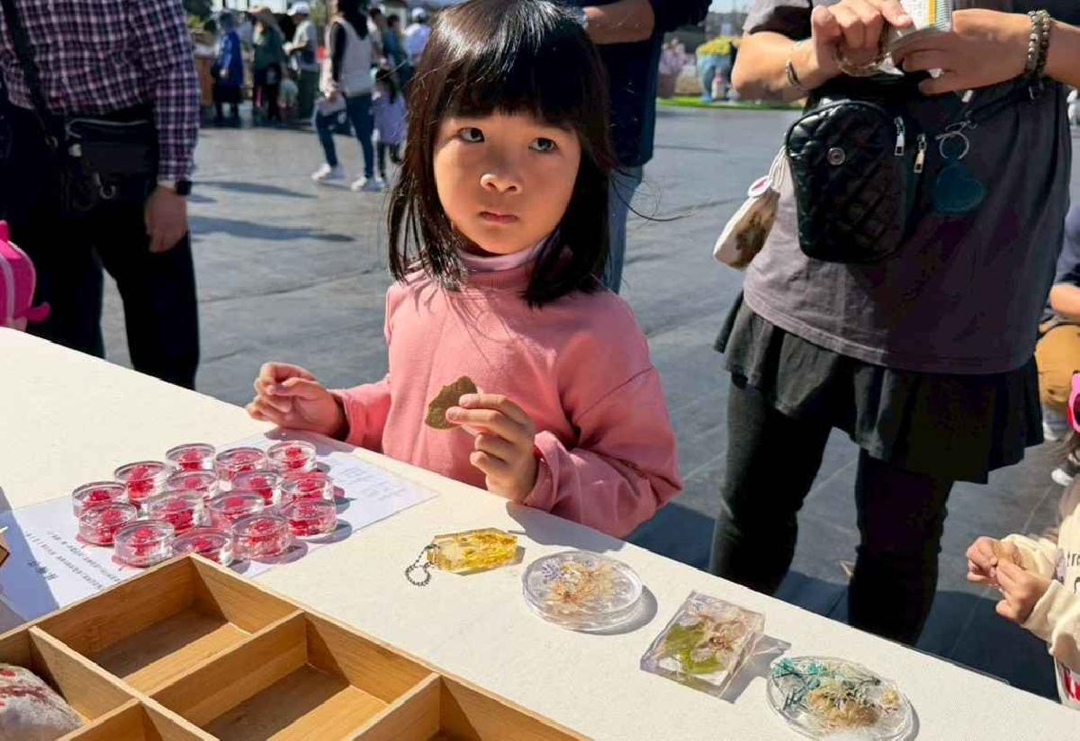 line_album_1141129仙草花節_251201_184